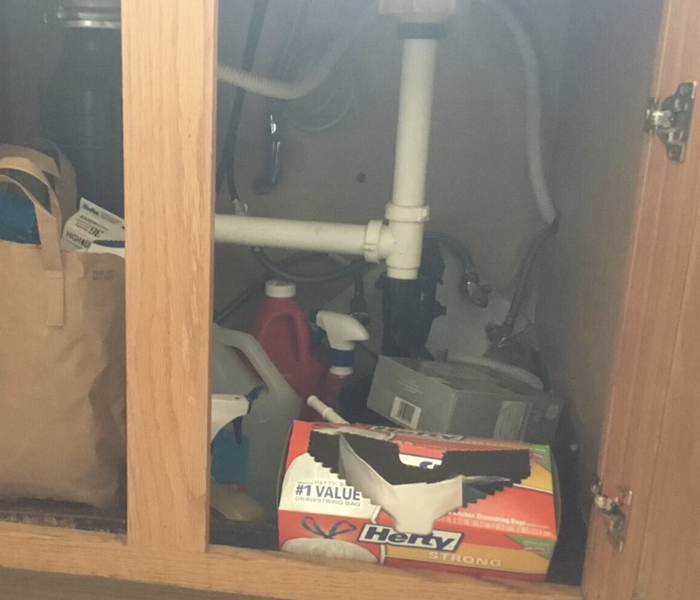 under the sink cabinet doors open revealing pipes and miscellaneous cleaning supplies