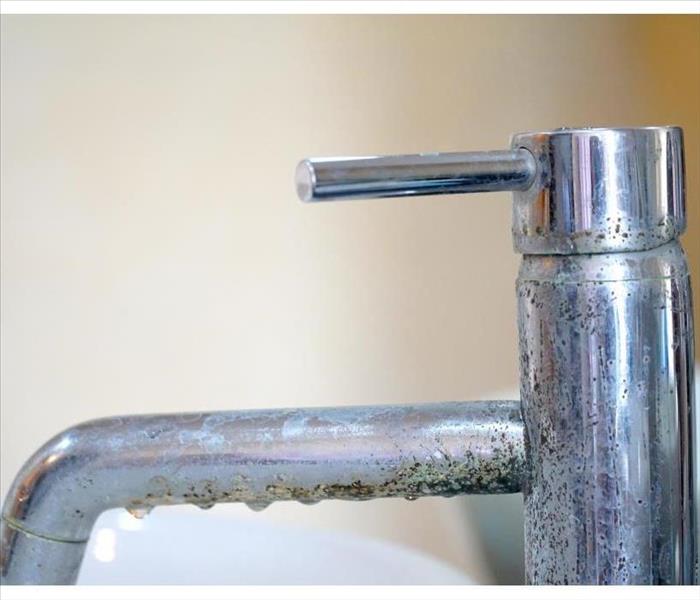 Old faucet (water tap) over sink in the bathroom. Dirt Bacteria. Hard water stain of soap and mold. Time to clean.