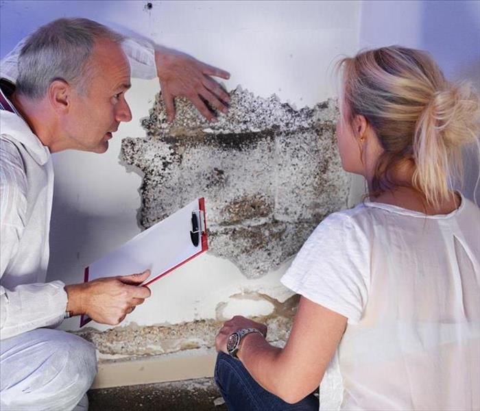 a pest control contractor or exterminator with a blonde female customer at a mold destroyed wall and explain her the problem 