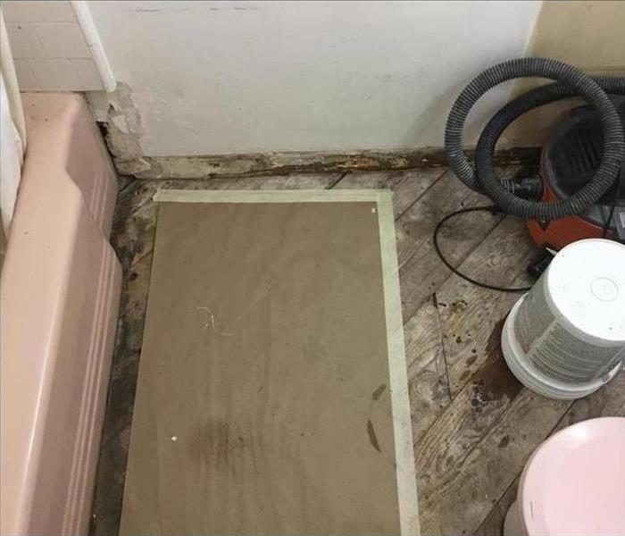 Mold growth on walls and floor